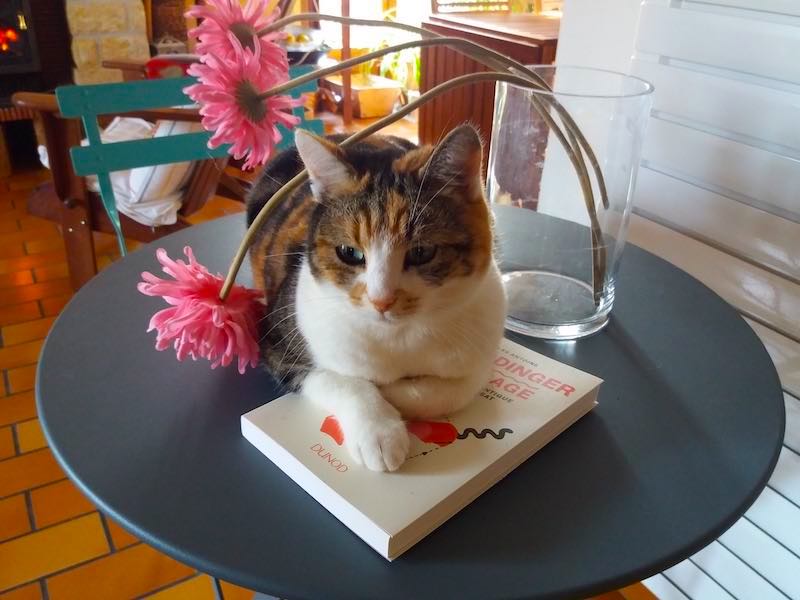 picture of a cat lounging on top of a book about quantum mechanics